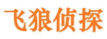 芜湖市婚姻出轨调查